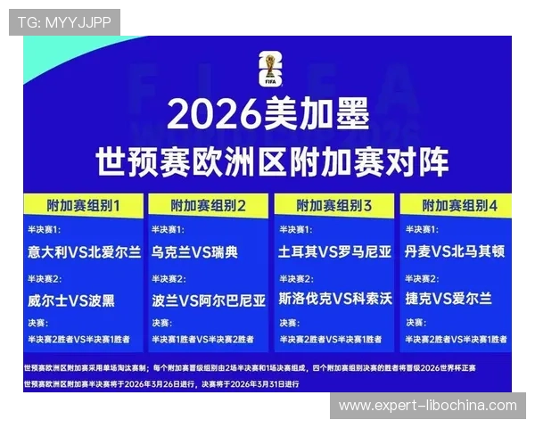 2026年世界杯捷克对阵南非比赛战术分析与赛后表现总结报告